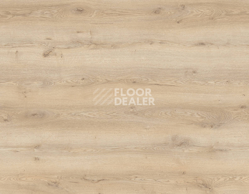 Ламинат Kronotex Mammut Plus d40772 Дуб Горный Песочный фото 1 | FLOORDEALER