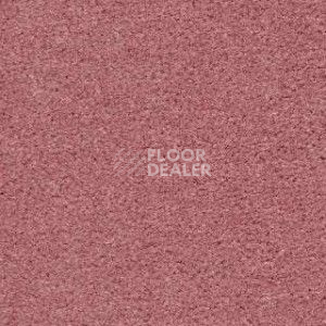 Ковролин Radici Montecarlo 9 фото 1 | FLOORDEALER