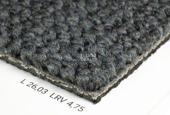 Desso Desert 9510 фото 5 | FLOORDEALER