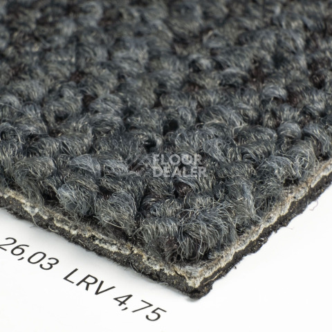 Desso Desert 9510 фото 5 | FLOORDEALER