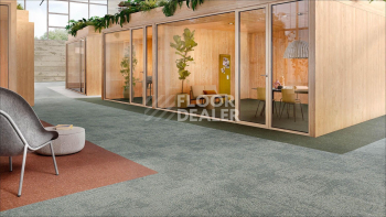 Desso Recharge ac 41 2086 фото 2 | FLOORDEALER