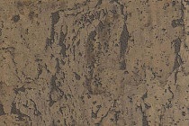 Пробковое покрытие Corkstyle Mountain настенное MOCO фото 1 | FLOORDEALER