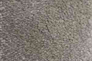 Ковролин Condor Carpets Chablis 116 фото  | FLOORDEALER