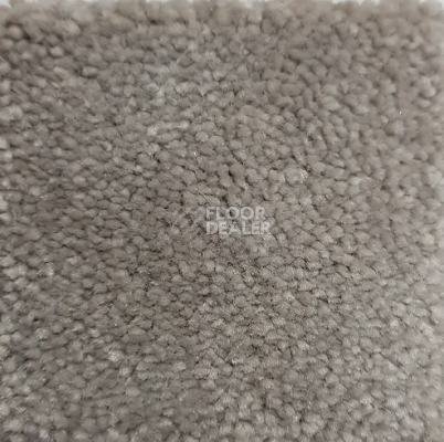 Ковролин Condor Carpets Chablis 116 фото 1 | FLOORDEALER