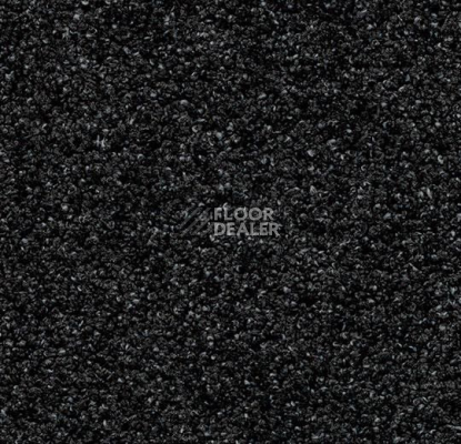 Грязезащитные покрытия Forbo Coral Luxe 2910 Onyx фото 1 | FLOORDEALER