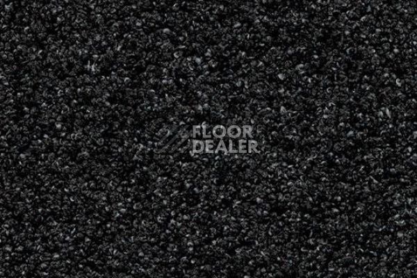 Грязезащитные покрытия Forbo Coral Luxe 2910-ONYX фото 1 | FLOORDEALER
