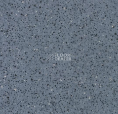 Линолеум Forbo Smaragd Classic Fr 6175 фото 1 | FLOORDEALER