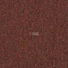 Shaw Momentum 02705 фото 1 | FLOORDEALER