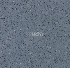 Линолеум Forbo Smaragd Classic Fr 6175 фото 1 | FLOORDEALER