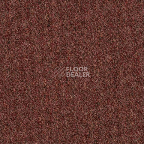 Ковровая плитка Shaw Momentum 02705 фото 1 | FLOORDEALER