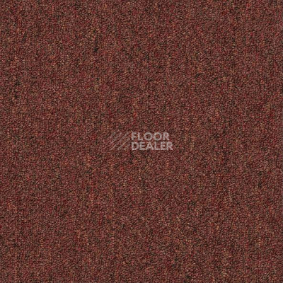 Ковровая плитка Shaw Momentum 02705 фото 1 | FLOORDEALER