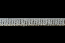 Balsan Les Best 930 фото 4 | FLOORDEALER