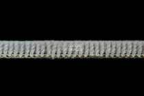 Balsan Les Best 930 фото 4 | FLOORDEALER