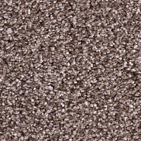 Ковролин Balsan Feelings 760 фото 1 | FLOORDEALER