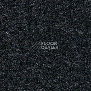 Ковролин AW The Velvet Oreade 79 фото 1 | FLOORDEALER