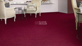 Vorwerk Superior 1041 Vorwerk 1m91 фото 2 | FLOORDEALER