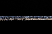 AW Medusa 77 фото 4 | FLOORDEALER