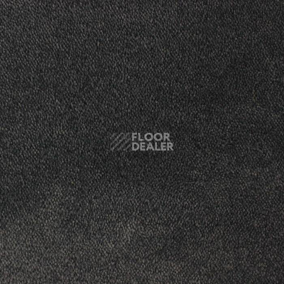 Ковролин Edel Twister 189 фото 1 | FLOORDEALER