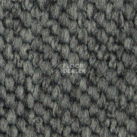 Ковролин Carpet Concept Eco Cut 54559 фото 1 | FLOORDEALER