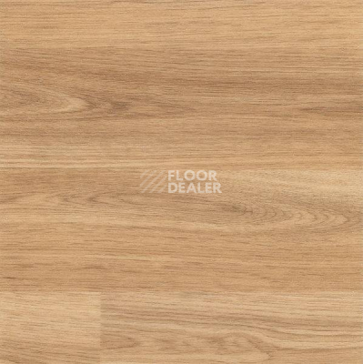 Линолеум Polysafe Wood FX Acoustic Pur 3382 фото 1 | FLOORDEALER