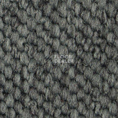 Ковролин Carpet Concept Eco Cut 54559 фото 1 | FLOORDEALER