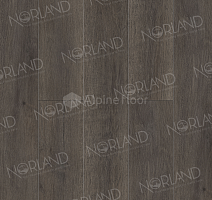 Кварцвиниловые полы Norland Sigrid Plus 4мм Baggy 1006-02 фото 1 | FLOORDEALER