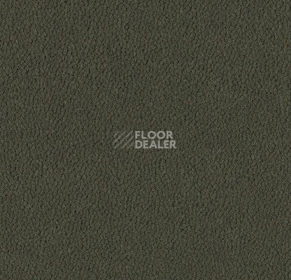 Ковровая плитка Westbond Ibond зеленая гамма 9224 фото 1 | FLOORDEALER