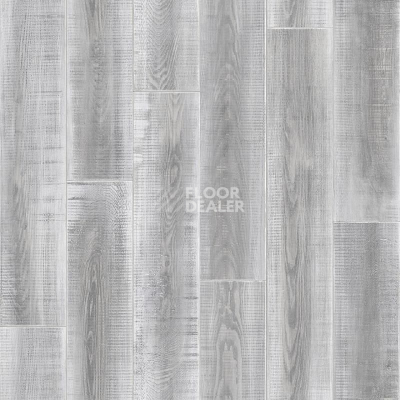 Линолеум Tarkett Комфорт BENGAL 3 фото 1 | FLOORDEALER