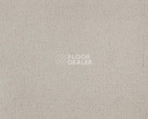 Ковролин Lano Celeste 240 Cream фото 1 | FLOORDEALER