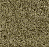 Ковролин AW Souplesse 20 фото 1 | FLOORDEALER