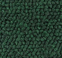 Standard Carpets Spectrum sm 566 фото 3 | FLOORDEALER