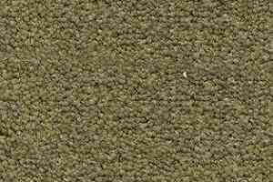 Ковролин AW Souplesse 20 фото  | FLOORDEALER