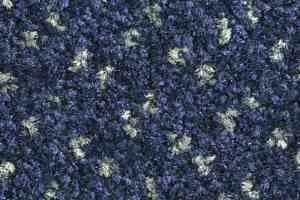 Ковролин Balsan Capitol Capitol 190 фото  | FLOORDEALER