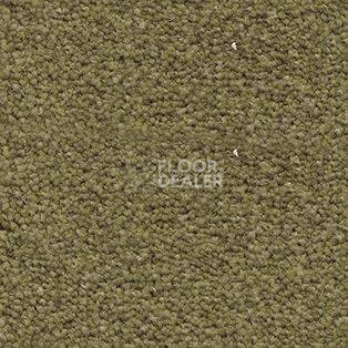 Ковролин AW Souplesse 20 фото 1 | FLOORDEALER