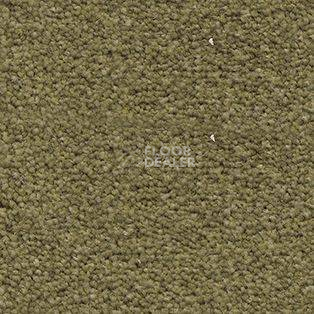 Ковролин AW Souplesse 20 фото 1 | FLOORDEALER