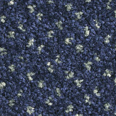 Ковролин Balsan Capitol Capitol 190 фото 1 | FLOORDEALER