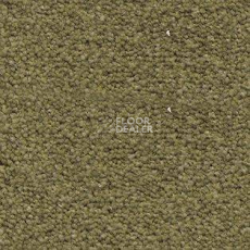 Ковролин AW Souplesse 20 фото 1 | FLOORDEALER