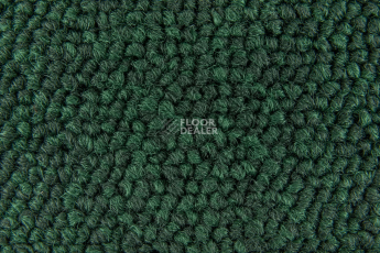 Standard Carpets Spectrum sm 566 фото 3 | FLOORDEALER