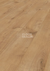 Ламинат Terhurne Classic Line 192мм 1844  Дуб Золотисто - Коричневый  1101020812 фото 1 | FLOORDEALER