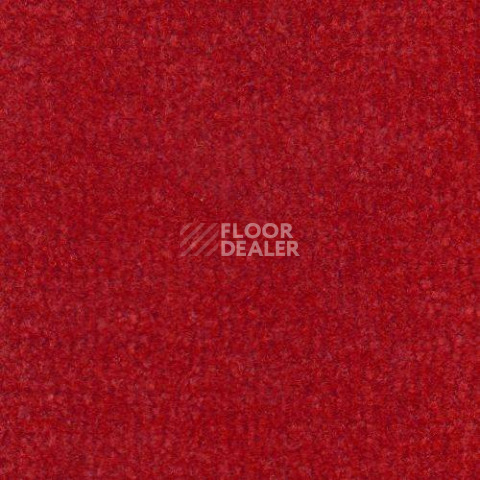 Ковролин Дюна Тафт Venetto 831 фото 1 | FLOORDEALER