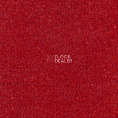 Ковролин Дюна Тафт Venetto 831 фото 1 | FLOORDEALER