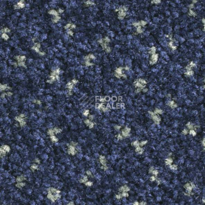 Ковролин Balsan Capitol Capitol 190 фото 1 | FLOORDEALER