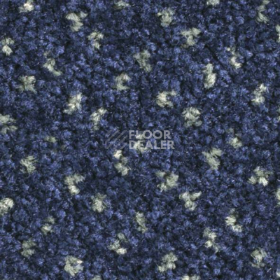 Ковролин Balsan Capitol Capitol 190 фото 1 | FLOORDEALER