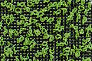 Ковролин Carpet Concept Eco Iqu S 3997 фото  | FLOORDEALER