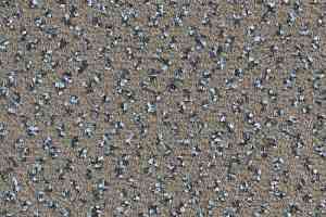 Ковровая плитка Balsan Impression Sonic Confort 780 фото  | FLOORDEALER