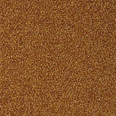 Desso Torso-Brlm 5421 фото 1 | FLOORDEALER