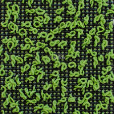 Carpet Concept Eco Iqu S 3997 фото 1 | FLOORDEALER