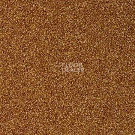 Ковролин Desso Torso-Brlm 5421 фото 1 | FLOORDEALER