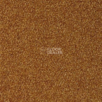 Ковролин Desso Torso-Brlm 5421 фото 1 | FLOORDEALER