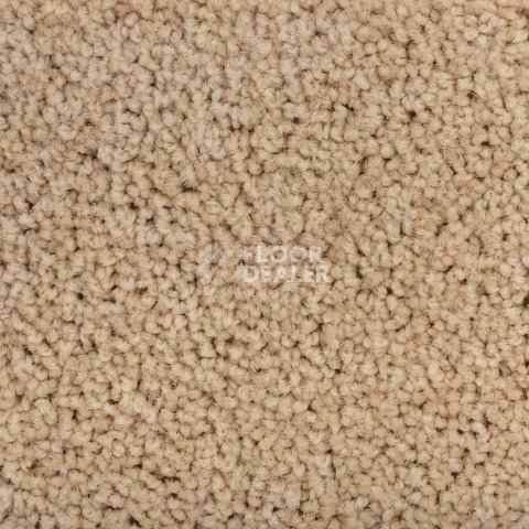 Haima Noble 41 фото 2 | FLOORDEALER
